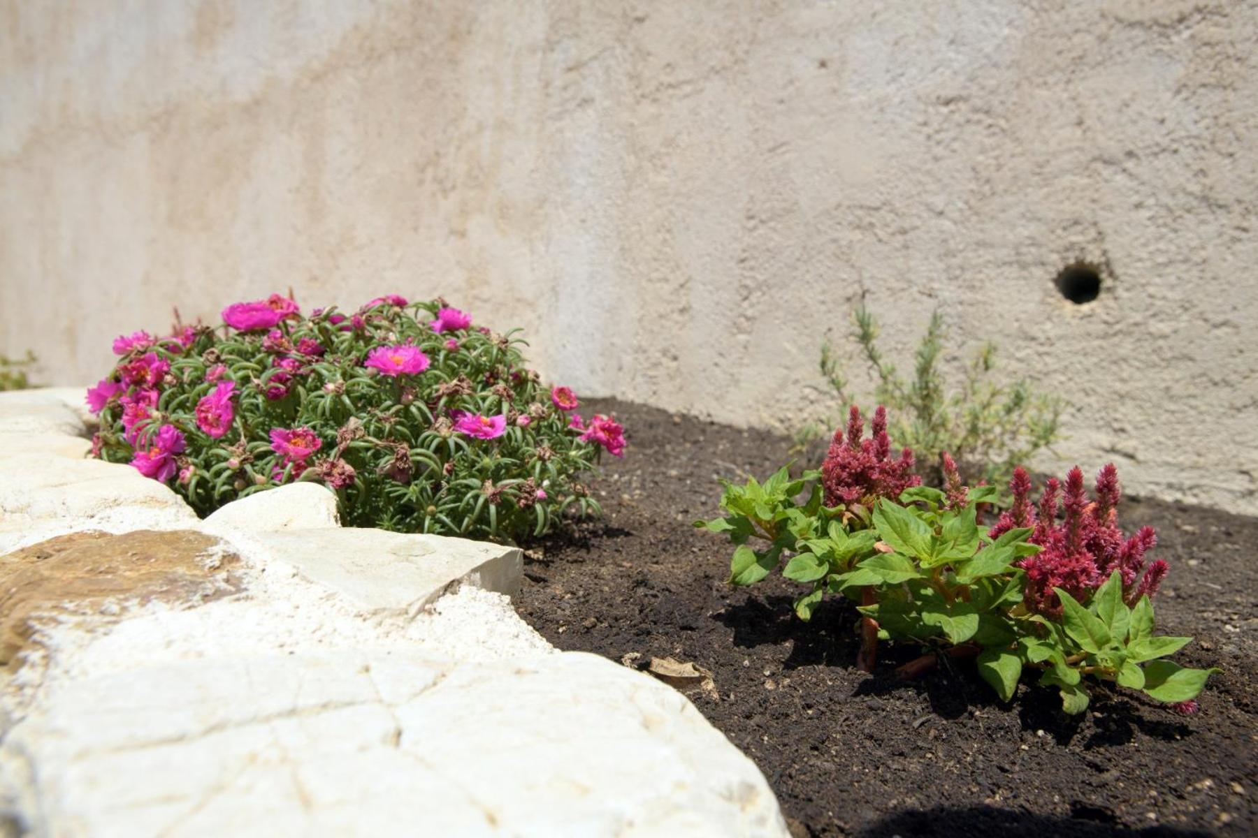 Lákones V&D Paleokastritsa Apartments מראה חיצוני תמונה